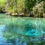 Eco-Tourism Adventures: Sustainable Travel in Florida